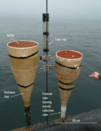 Figure 2. Photograph showing the deployment of Anderson-type sediment traps attached to a mooring wire during a Massachusetts Bay field experiment. The tube trap taped onto the wire was used for comparison purposes.