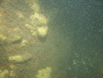 A photograph showing the ocean floor with scoured surface.