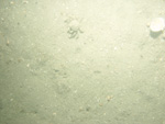 A photograph showing the ocean floor with flat surface.