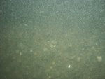 A photograph showing the ocean floor with gravel.