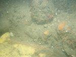 A photograph showing the ocean floor with sand ripples and boulders.