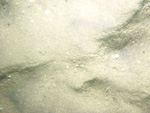 A photograph showing the ocean floor with sand ripples and gravel.