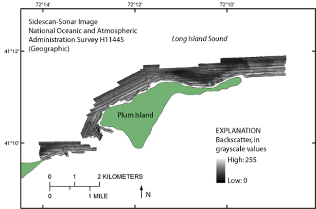 Figure 19. A map showing sidescan-sonar imagery from National Oceanic and Atmospheric Administration survey H11445.