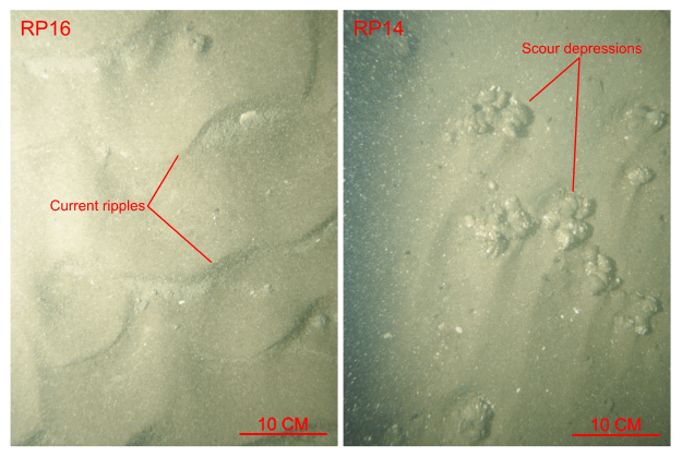 Figure 30. Two photographs of the sea floor from stations RP16 and RP14 showing current-rippled sand that is prevalent in areas characterized by sedimentary environments of coarse-bedload transport.