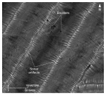 Thumbnail image of figure 25 and link to larger figure. An illustartion showing detailed sidescan-sonar imagery north of Rocky Point, New York.