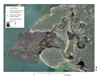 Figure 11:  Map showing the location of bottom photographs and sediment samples overlying a backscatter mosaic of Red Brook Harbor. Areas of transition between high and low backscatter, and large areas of homogeneous backscatter, were chosen for 24 of the sample sites. The remaining 24 sample sites were selected with a GIS randomization routine, and will be used in future habitat modeling efforts. Red dots depict locations of bottom photographs, yellow dots mark samples located according to backscatter characteristics, and green dots show the locations of sediment sample stations that were chosen randomly. Thick shell cover on the sea floor prohibited collecting sediment samples at seven planned sample stations in the outer harbor.
