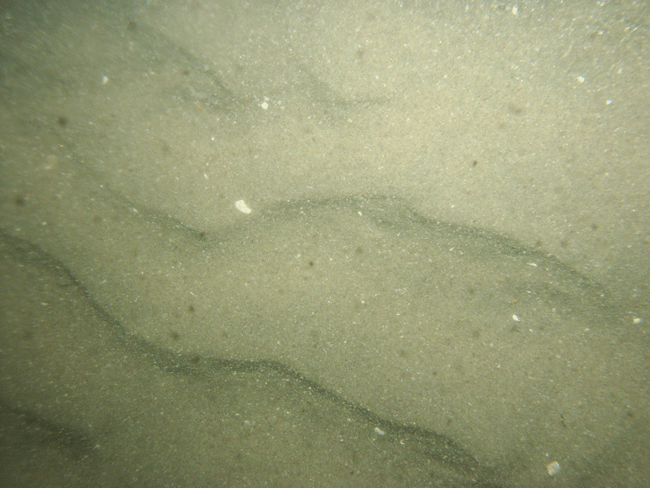 Figure 24. A photograph of a sand waves in the study area.