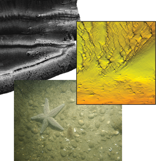 Images of multibeam bathymetry, bottom photograph, and sidescan sonar offshore of Orient Point, New York.