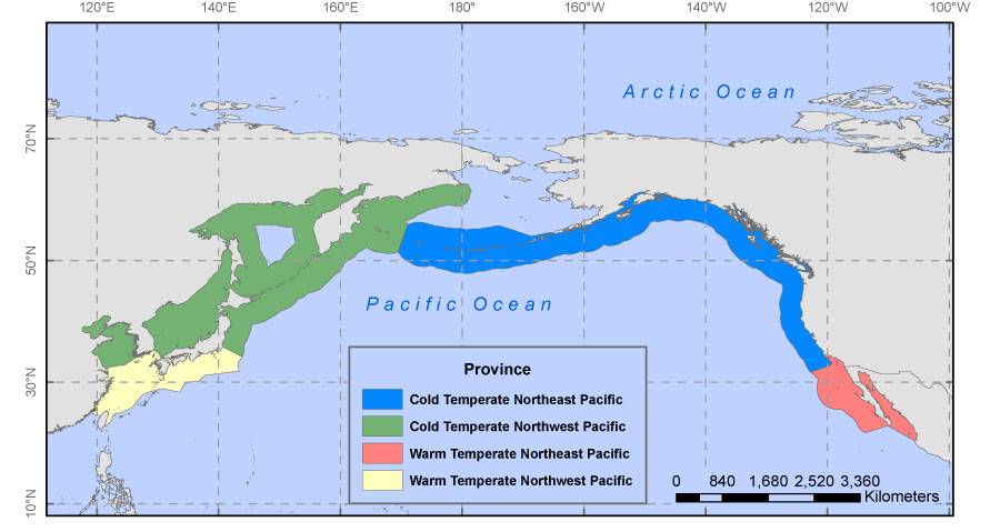 Figure 3, map of marine provinces used in the report.