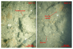 Thumbnail image of figure 31 and link to larger figure. Two photographs of gravel at station 922-13 and 922-14.