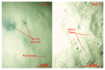 Thumbnail image of figure 33 and link to larger figure. Two photographs of muddy sand at stations 922-12 and 922-17.