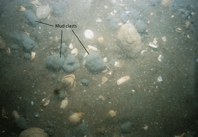 Figure 25. Photograph of mud clasts on the sea floor.