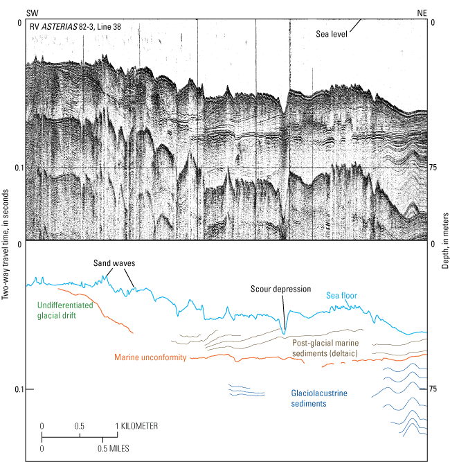 Figure 3. Seismic profile from study area.