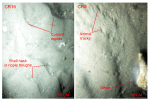 Thumbnail image of figure 35 and link to larger figure. Two photographs of the rippled sea floor.