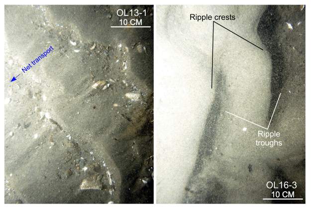 Figure 39. Two photographs of rippled sand in the study area.