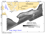 Thumbnail image of figure 31 and link to larger figure. Image of sidescan sonar from the study area.