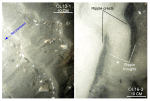 Thumbnail image of figure 39 and link to larger figure. Two photographs of rippled sand in the study area.