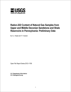 Thumbnail of and link to report PDF (70 KB)