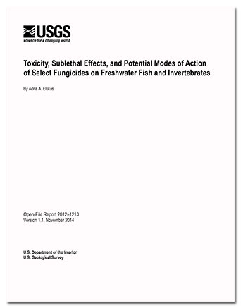 Thumbnail of and link to report PDF (941 KB)