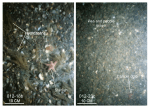 Thumbnail image of figure 26 and link to larger figure. Photographs of gravel and gravelly sediment in the study area.