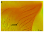 Thumbnail image of figure 23 and link to larger figure. Image of sand waves in the study area.