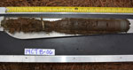 Thumbnail image showing downloadable photograpsh of Assateague Island peat auger cores