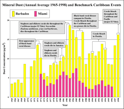 Average African dust concentrations measured in Miami and Barbados