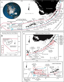(A) Index map of south Florida and the Florida Keys. (B) Index map of west end of the Sanctuary shows the Tortugas Ecological Reserve North and South areas that became part of the Florida Keys National Marine Sanctuary in July 2001. (C) Index map shows location of U.S. Geological Survey seismic tracklines and those portions selected for illustration with their figure numbers.