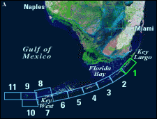 Landsat satellite image of south Florida shows individual tile boundaries. Tile 1 is highlighted.