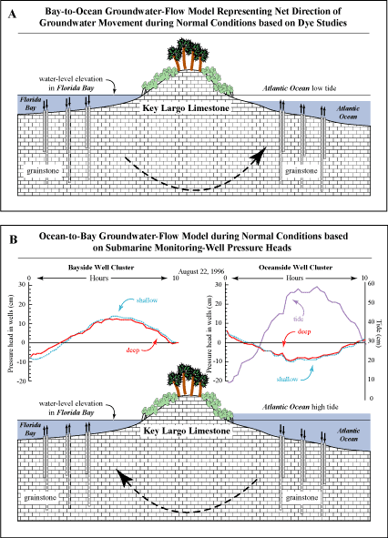 Conceptual models show bay-to-ocean groundwater flow during a falling and rising ocean tide.