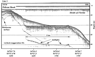 Seismic profile (1989) shows Pleistocene bedrock geology in the area of Pelican Shoal.
