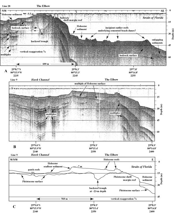 Seismic profiles (1991) show shelf-margin features at The Elbow