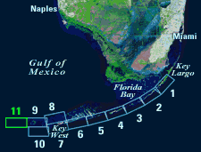 Landsat satellite image of south Florida shows individual tile boundaries (blue rectangles) of this regional study in the Florida Keys National Marine Sanctuary. Tile 11 is highlighted.