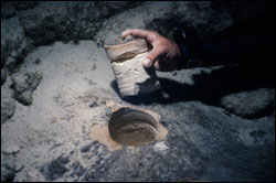  Underwater view shows Davis Reef core of soilstone crust that accumulated on top of Montastrea annularis.