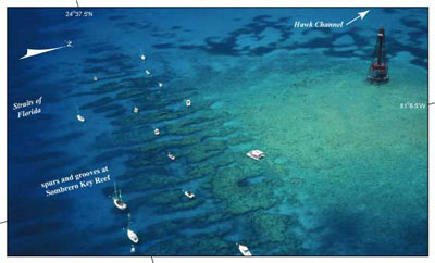 Photo shows spurs and grooves at Sombrero Key Reef. 