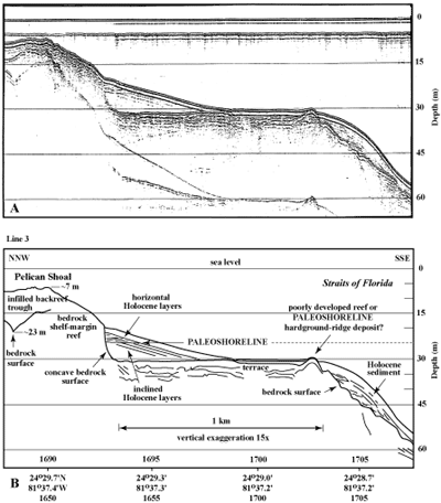 (A) Seismic-reflection profile (1989) and (B) interpretation