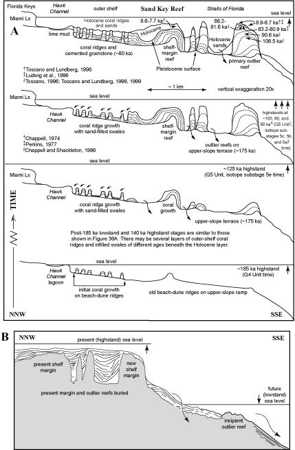 Geomorphogenic model of the Sand Key Reef area
