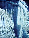 Figure 8-2a. Two views of the receding margin of the Quelccaya ice cap, Perú’s largest glacier and the Earth’s largest tropical ice cap. The margin of the ice cap was photographed from the same camera station in 1977. Photographs by Lonnie G. Thompson, Byrd Polar Research Center, The Ohio State University, Columbus, Ohio. 