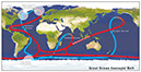 Figure 31.—The great ocean conveyor belt of global ocean currents as described in Broecker (1991). Winds drive warm salty ocean currents in the global pattern of atmospheric circulation. Note that the flow of warm currents is relatively unimpeded in the Pacific Ocean. In the Atlantic Ocean, however, México and Central America block the westward flow, forcing the current northward (Gulf Stream). The cold currents in the polar regions are denser than warm equatorial waters, and therefore they sink, forming cold deep water. Atlantic deep water forms near Greenland, travels to Antarctica, adds cold salty water from Antarctica, and then continues into the Pacific Ocean. Modified from Intergovernmental Panel on Climate Change (IPCC) (1996, p. 271, fig. 2); after Broecker (1991). 