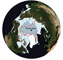 Northern Hemisphere Sea Ice, Seasonal Maxima and Minima Areas, 2005.
