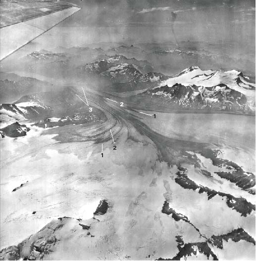 Trimetrogon aerial photograph showing three bands of tephra on Glaciar Chico