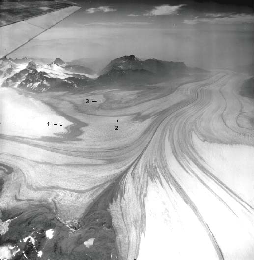Trimetrogon aerial photograph showing three transverse bands of tephra on Glaciar Viedma