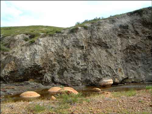 Bentonitic shale with large concretions in upper part of Seabee Formation, east fork of Tuluga River