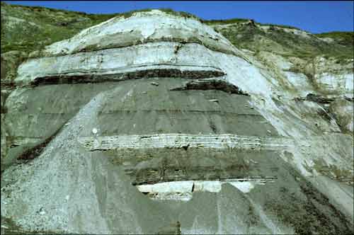 Silty mudstone, coal, and sandstone in upper part of the Prince Creek Formation at Sagwon Bluffs, central Sagavanirktok quadrangle
