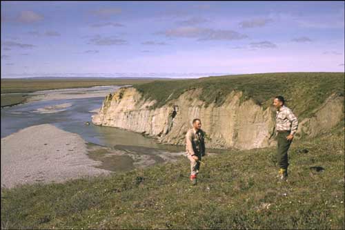 Lower part of Sagwon Member of Sagavanirktok Formation, at north end of Sagwon Bluffs on east side of the Sagavanirktok River, dipping regionally northward beneath the Arctic Coastal Plain