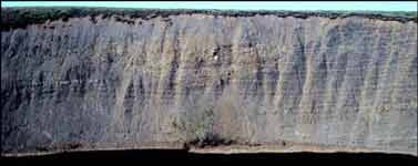 Sandstone in turbidite channel incised into interbedded mudstone and thin turbidite sandstones of Torok Formation on Heather Creek, Killik River quadrangle