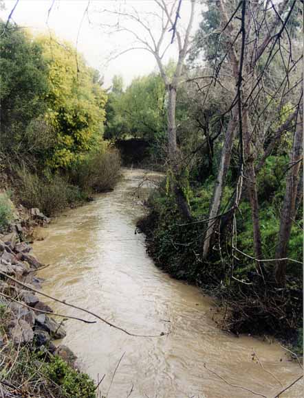photo of creek running quite full along steep natural banks; water is murky