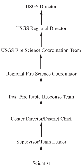 Organizational coordination flow chart