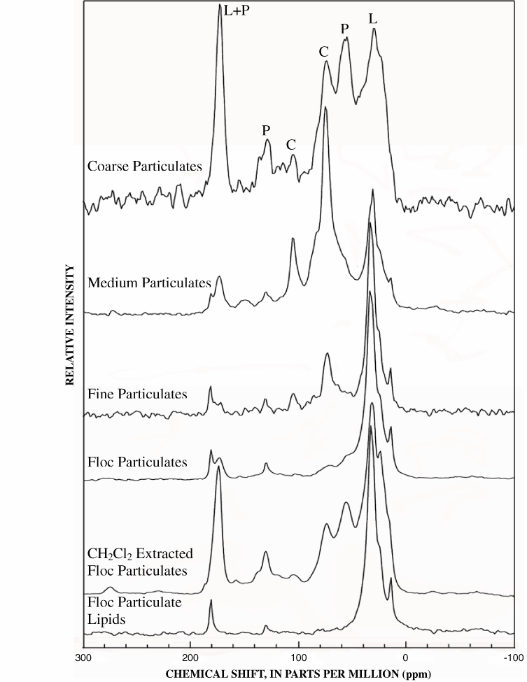 Figure 10. 13C-NMR spectra of particulate fractions from north-side sample. L= lipid, P = protein, C = carbohydrate.