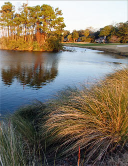 Arthur Hills Golf Course, Palmetto Dunes
Hilton Head Island, South Carolina. Photograph by Alan M. Cressler, U.S. Geological Survey, 2006